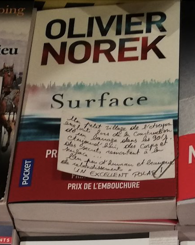 Surface d'Olivier Norek, Editions Michel Lafon
