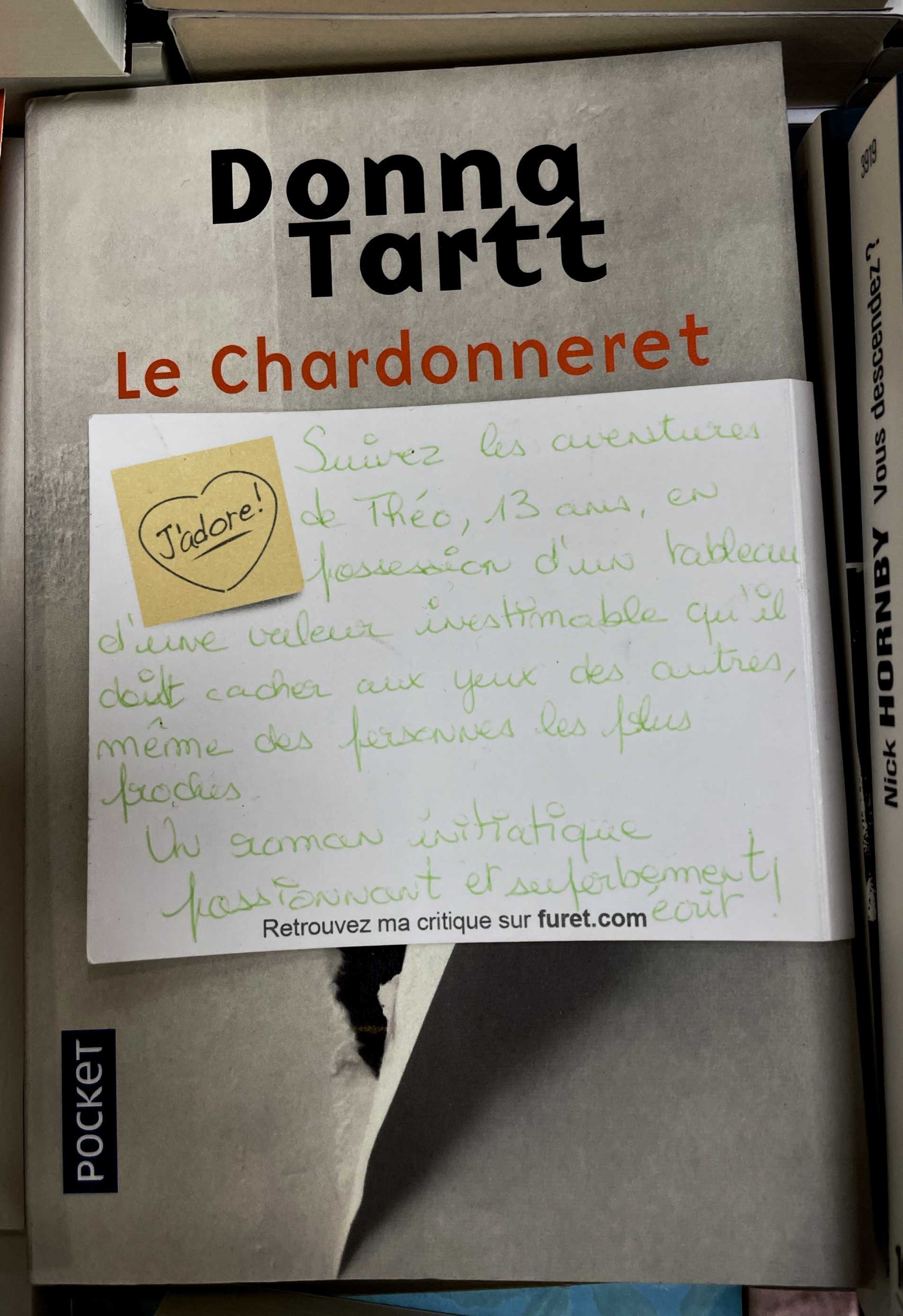 Le Chardonneret, Donna Tartt