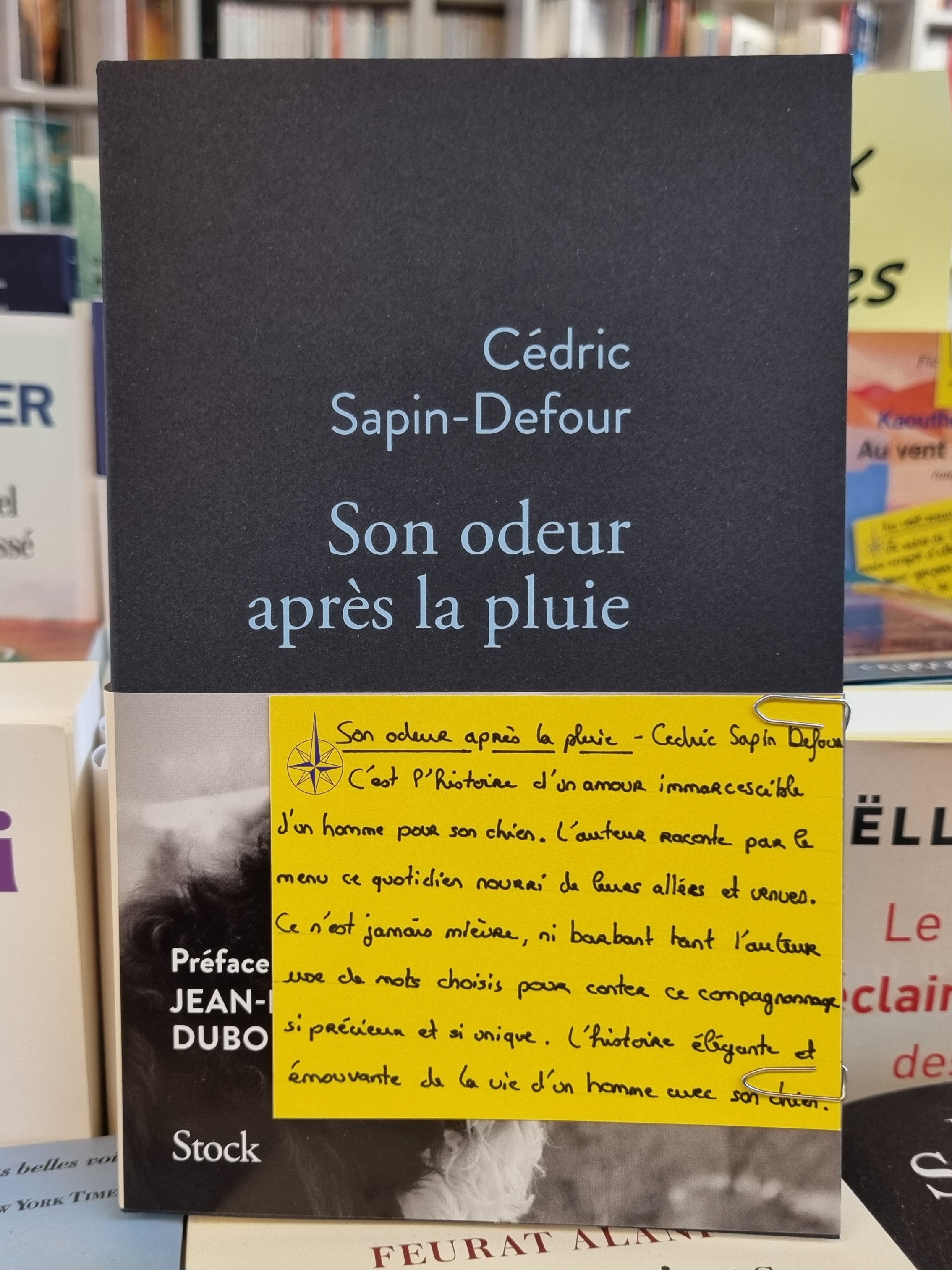 Son odeur après la pluie » de Cédric Sapin-Defour : une