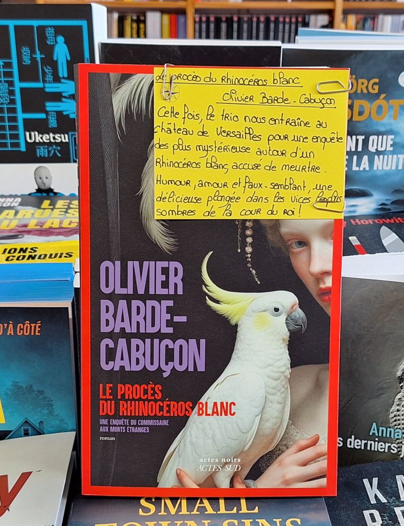 Le Procès du rhinocéros blanc